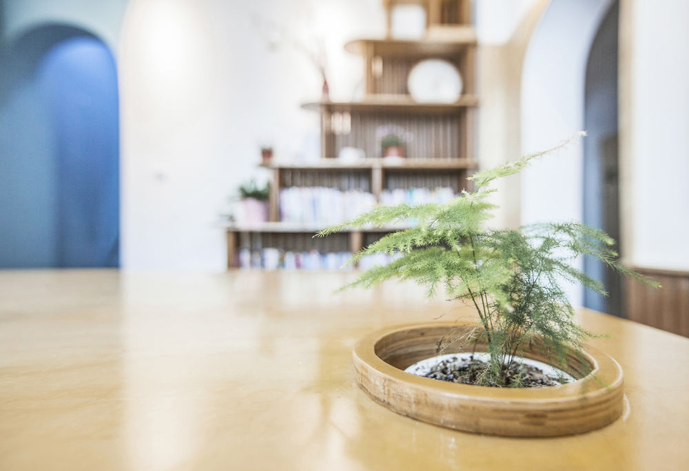 如果善意有形状——我们为心智障碍者搭起一座蜗牛堡