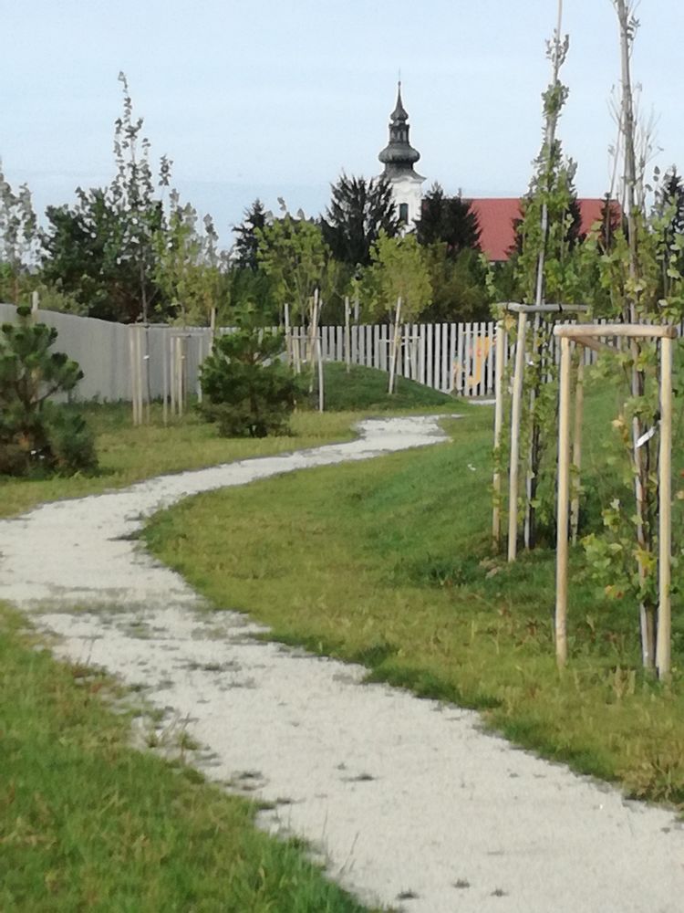 City Cemetery Presov – Svaby / STOA Architekti