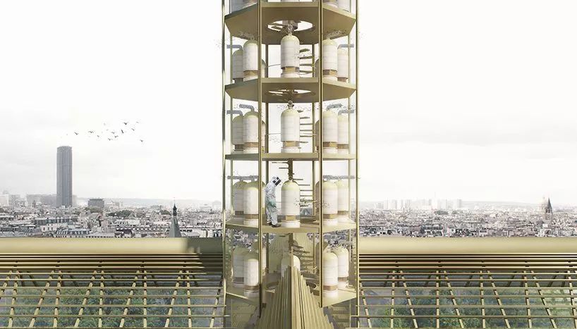 巴黎圣母院尖顶重建方案大 PK，现代与传统交融
