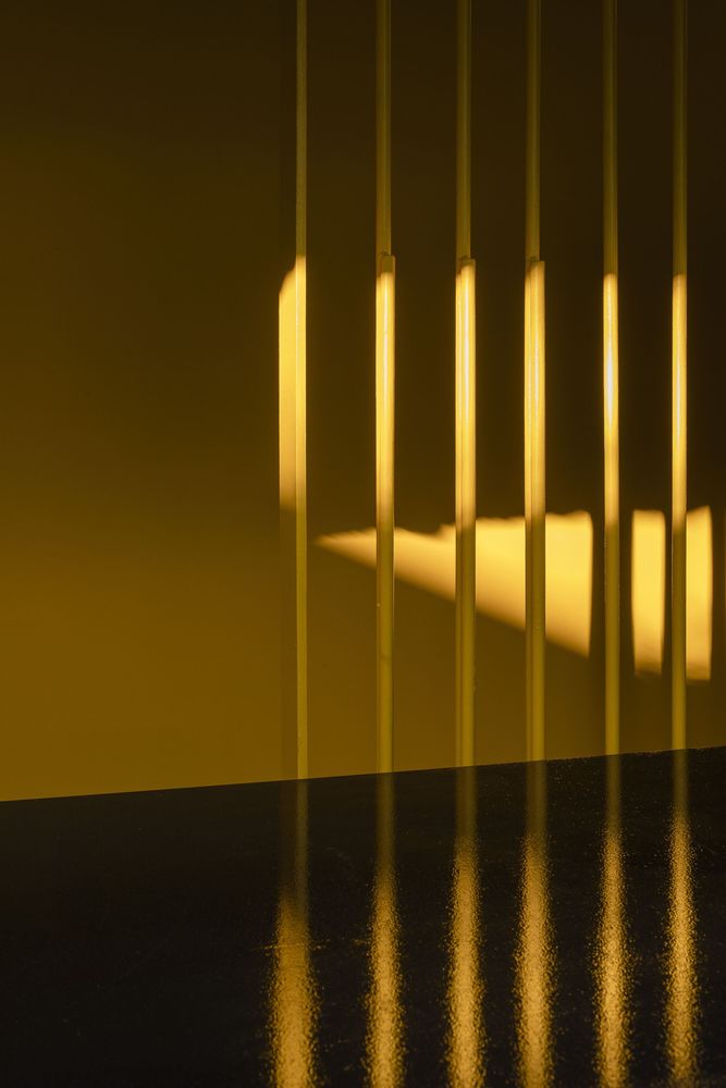 Copera Garden / Tomás García Píriz