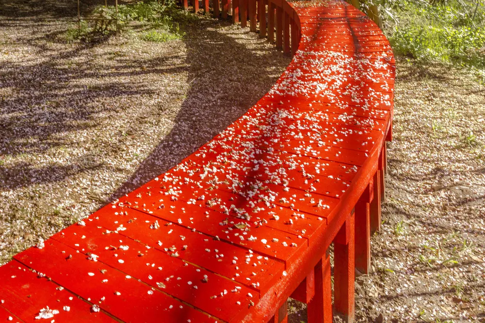 Infinity Bench