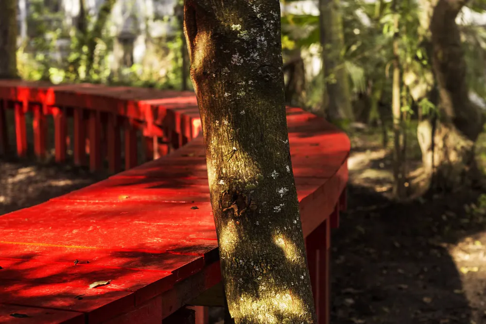 Infinity Bench