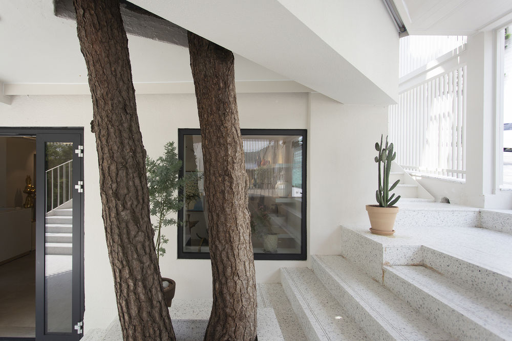 MASS Arts Plastiques Gallery / Form & Function