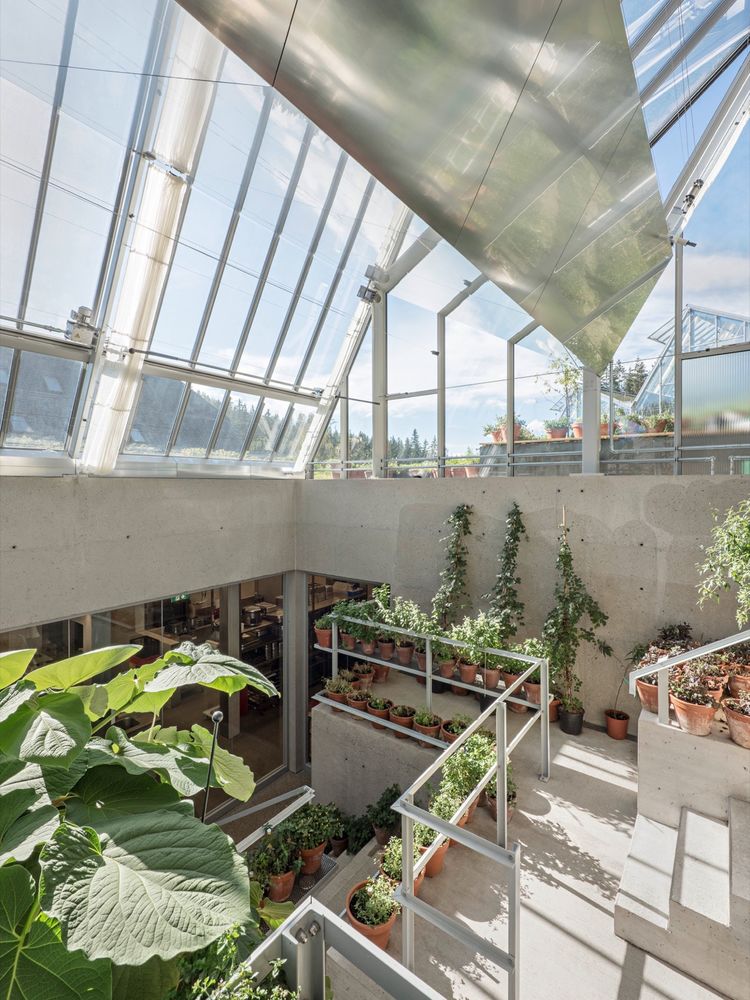 Steirereck am Pogusch餐厅，奥地利 / PPAG architects