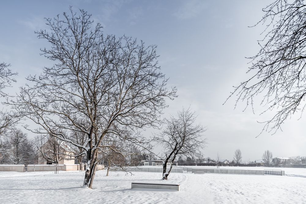 HSC Cemetery / Objektor