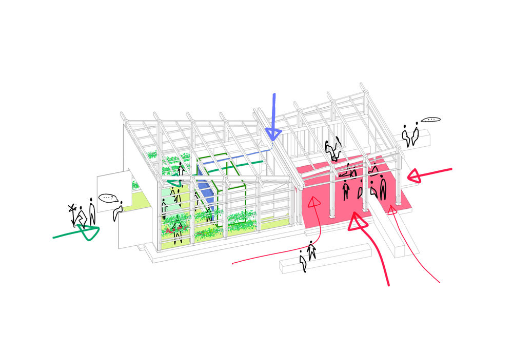 Technology and Environment Laboratory Mencoriari  / Semillas