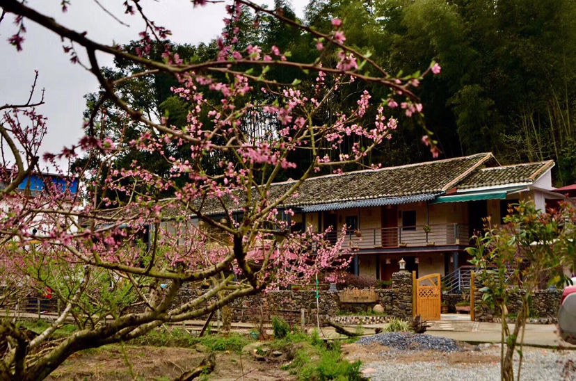 民宿，桃源山居—寻桃源