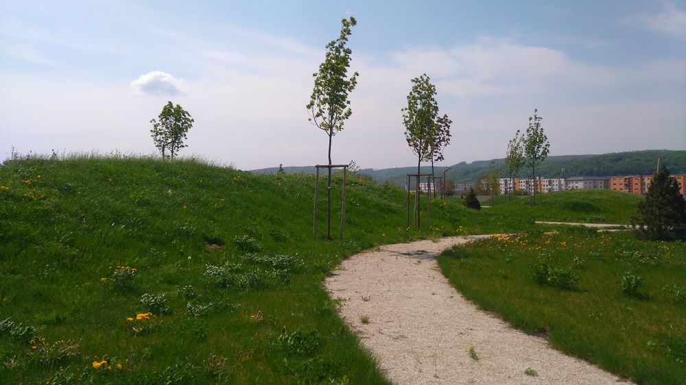 City Cemetery Presov – Svaby / STOA Architekti