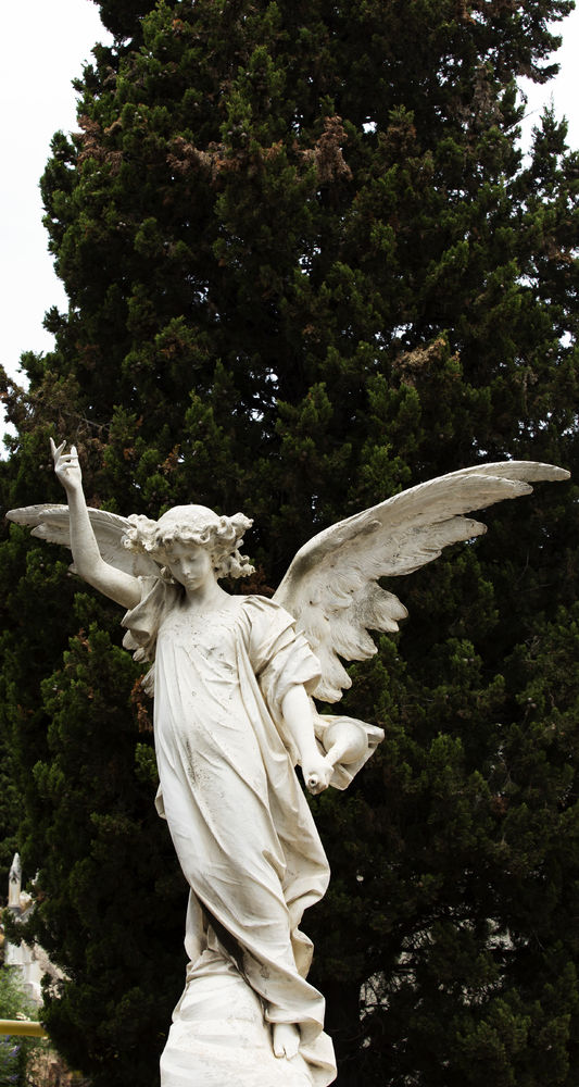 Cementerio de Montjuïc Parte 18