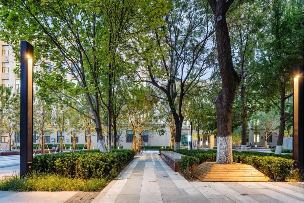 北京化工大学老校区景观提升改造 | 重塑环境，提升品格