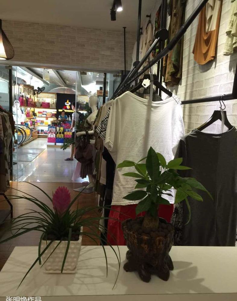女人新天地张明焕服装店 | 现代简约风打造精致购物空间