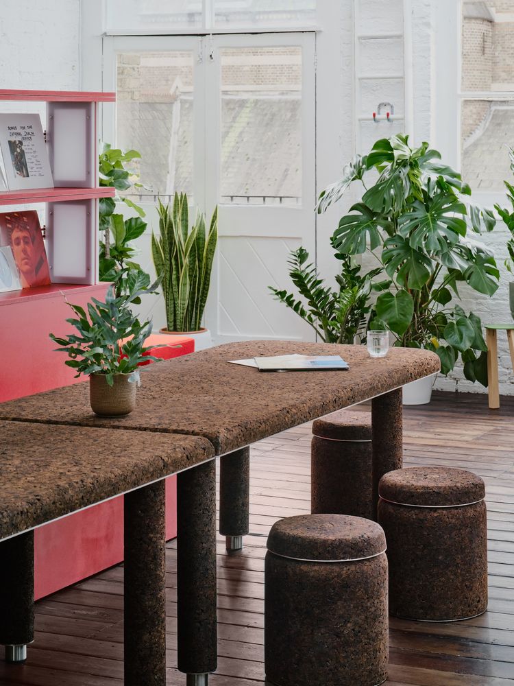 Common Knowledge Studio / THISS Studio
