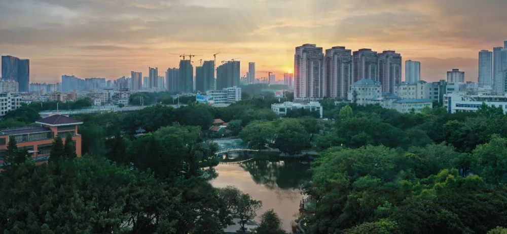广东绿色生态建设案例展示 | 公园群景观提升与创新设计
