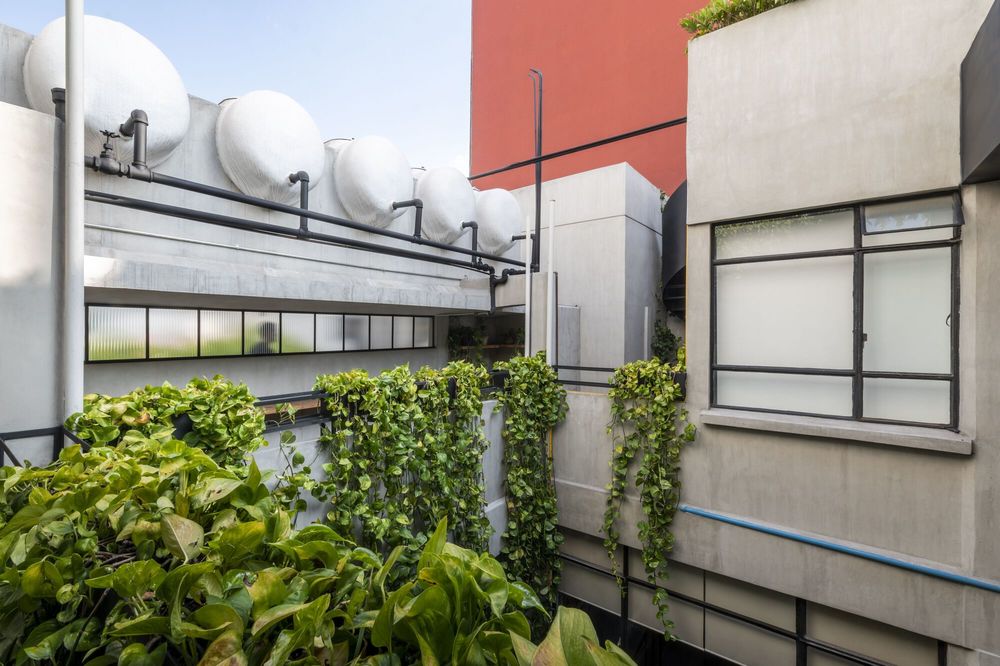 Pachuca 81 / Namikase Studio