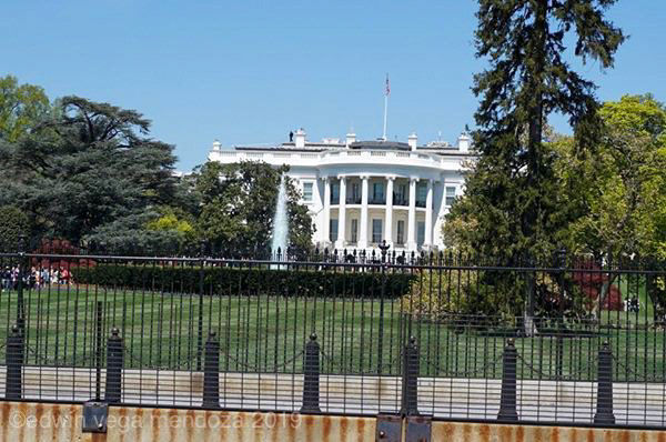 Washington D.C. Landmarks