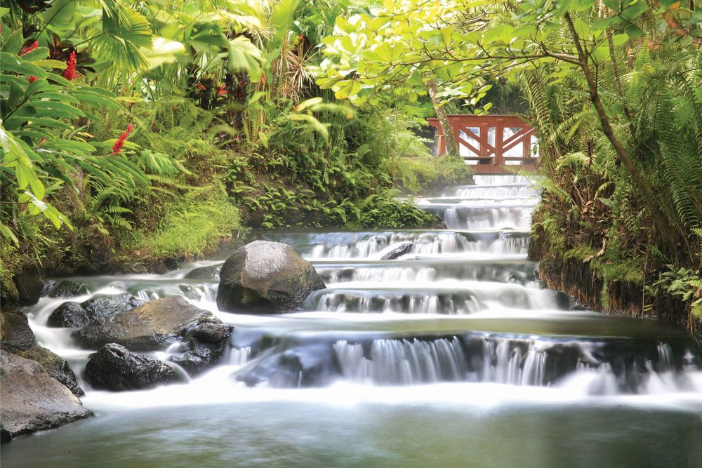 Tabacan Grand Spa Thermal Resort（未上架）