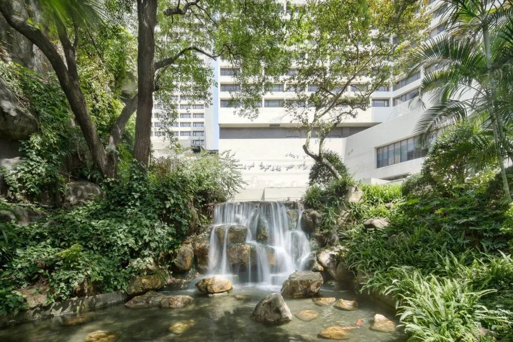 广东绿色生态建设案例展示 | 公园群景观提升与创新设计