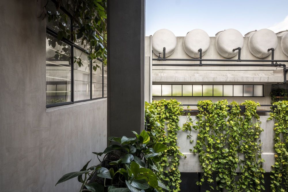 Pachuca 81 / Namikase Studio