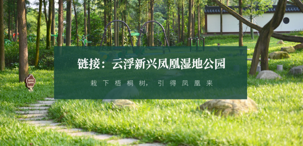 广东绿色生态建设案例展示 | 公园群景观提升与创新设计