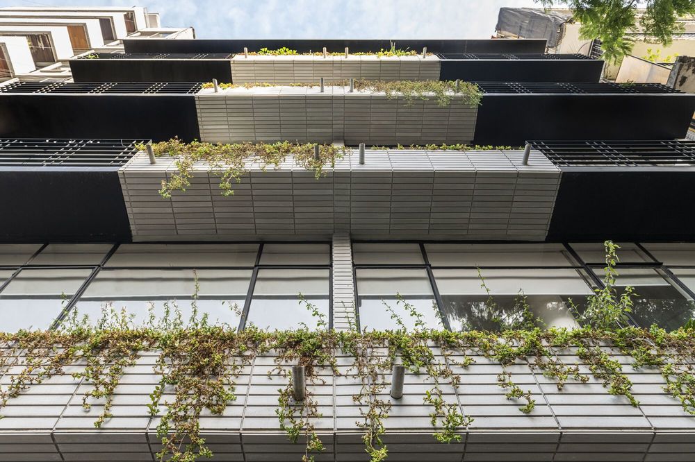 Pachuca 81 / Namikase Studio