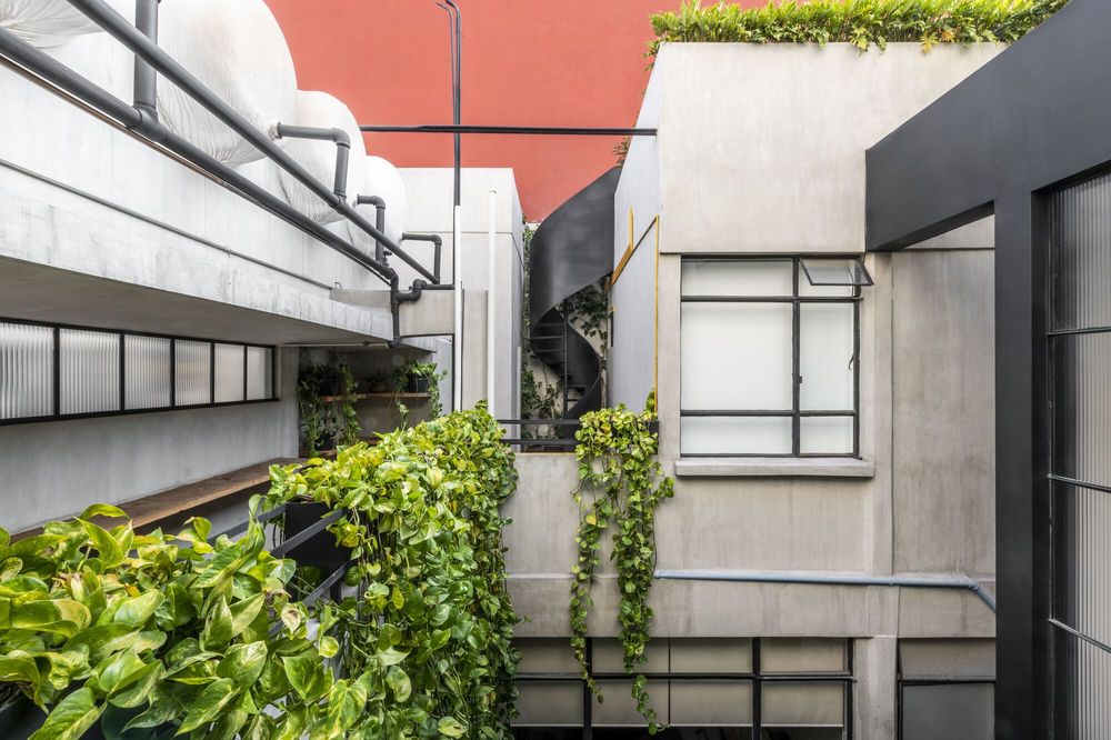 Pachuca 81 / Namikase Studio