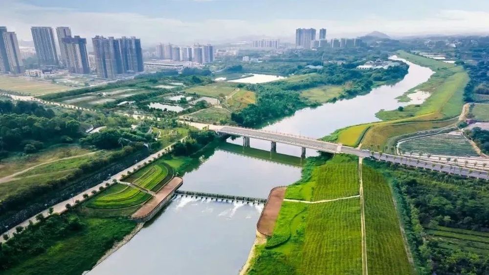 广东绿色生态建设案例展示 | 公园群景观提升与创新设计