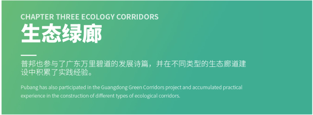广东绿色生态建设案例展示 | 公园群景观提升与创新设计