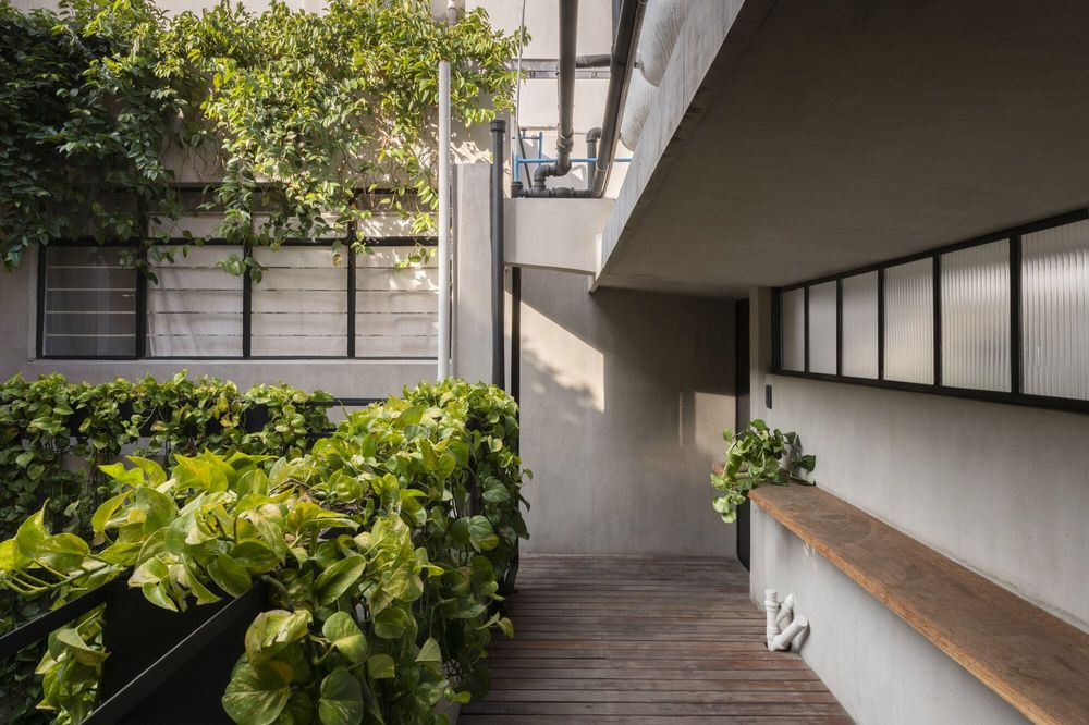 Pachuca 81 / Namikase Studio