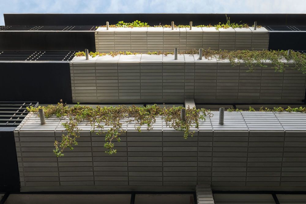 Pachuca 81 / Namikase Studio