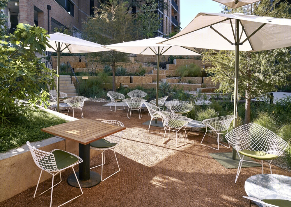 Austin 首家木结构酒店——Hotel Magdalena