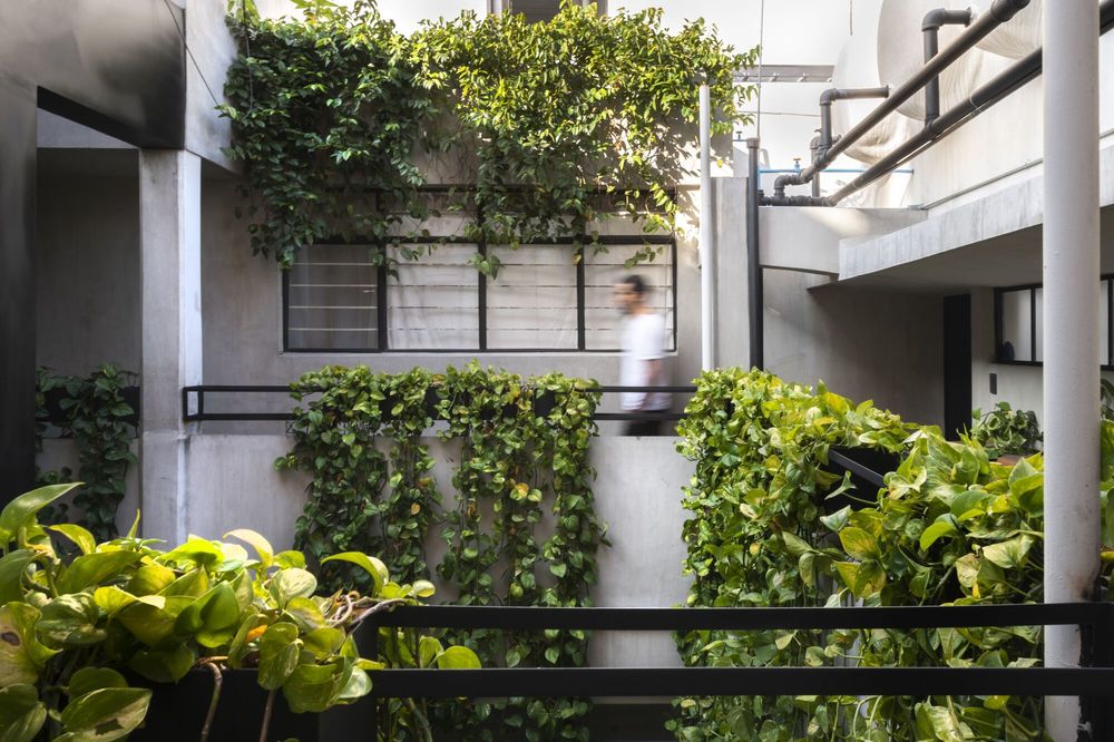 Pachuca 81 / Namikase Studio