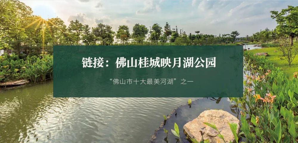 广东绿色生态建设案例展示 | 公园群景观提升与创新设计