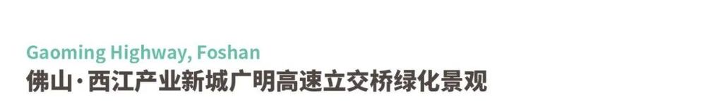 广东绿色生态建设案例展示 | 公园群景观提升与创新设计