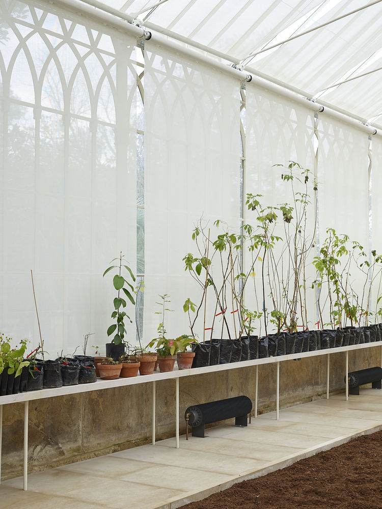 Tropical Greenhouses of University of Coimbra's Botanical Garden / João Mendes Ribeiro