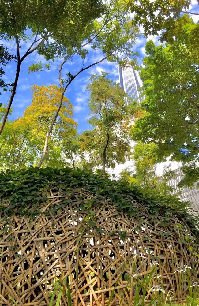 广东绿色生态建设案例展示 | 公园群景观提升与创新设计
