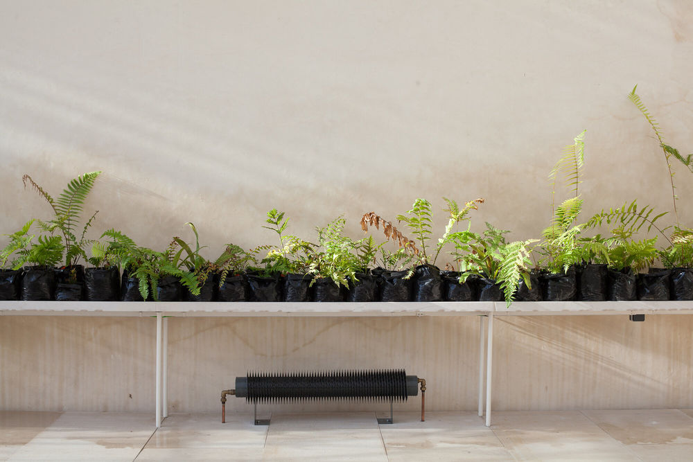 Tropical Greenhouses of University of Coimbra's Botanical Garden / João Mendes Ribeiro