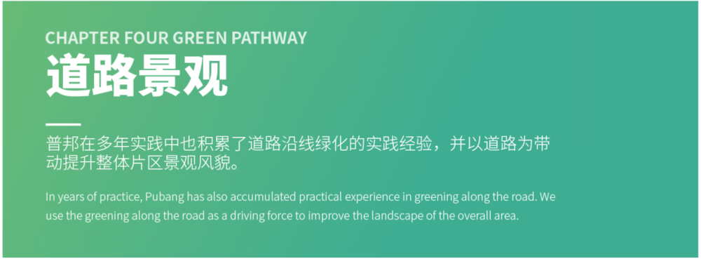 广东绿色生态建设案例展示 | 公园群景观提升与创新设计