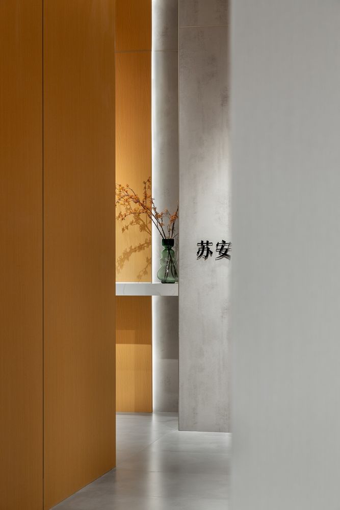 苏安科技美容旗舰店 | 艺术与科技的完美融合