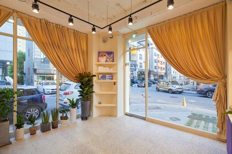 七坪小店营造独特氛围，品味缤纷色彩空间