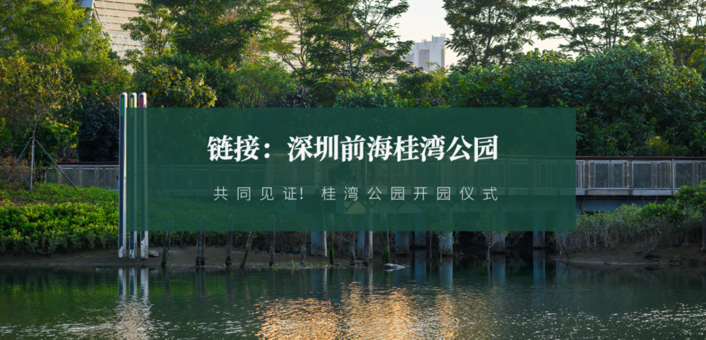 广东绿色生态建设案例展示 | 公园群景观提升与创新设计