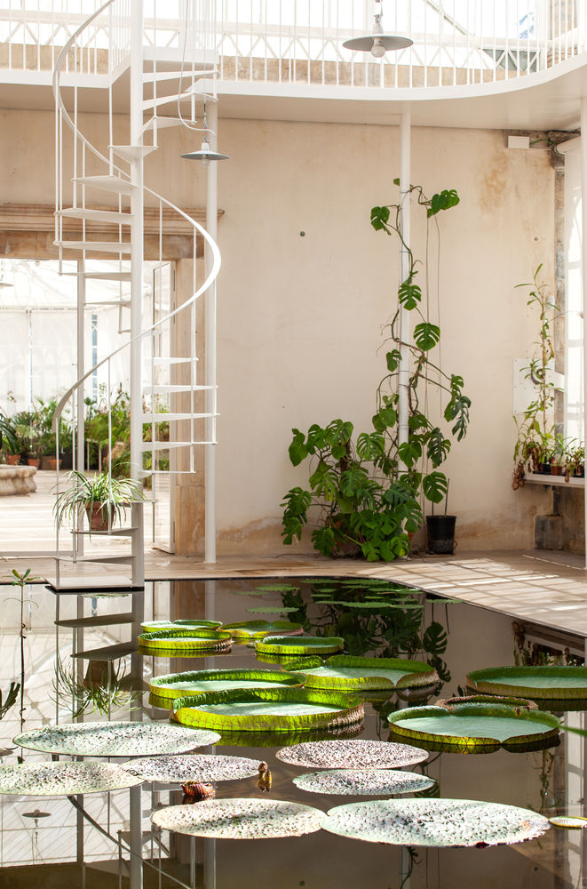 Tropical Greenhouses of University of Coimbra's Botanical Garden / João Mendes Ribeiro