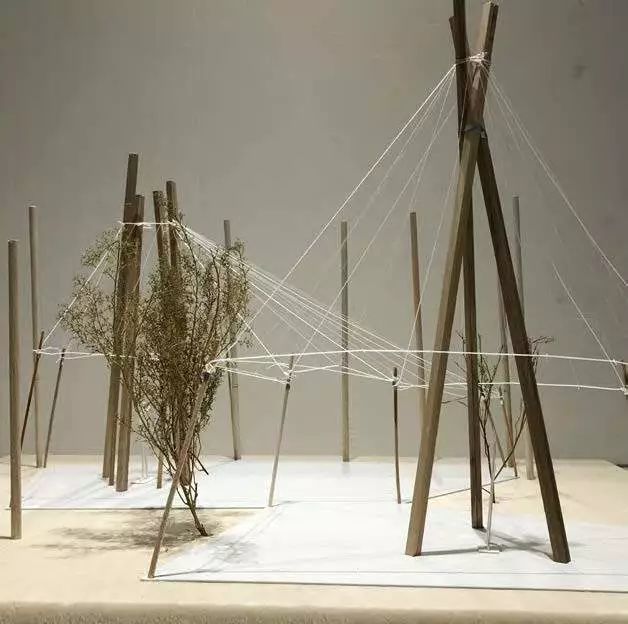 刘宇扬的轻质木构小品 | 技术、文化与变化的融合