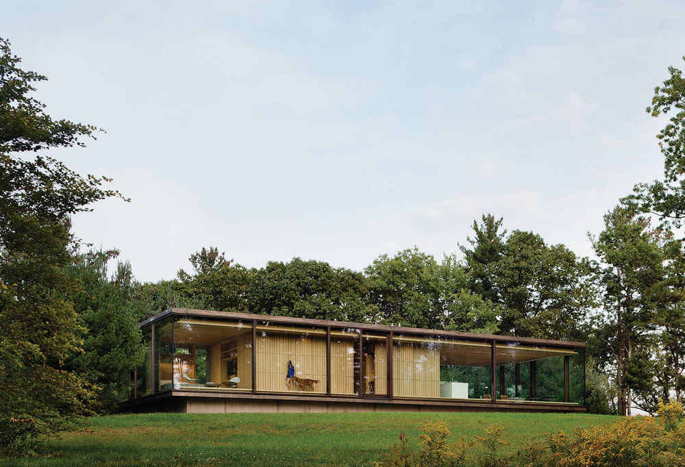 LM丛林旅店，纽约 / Desai Chia Architecture