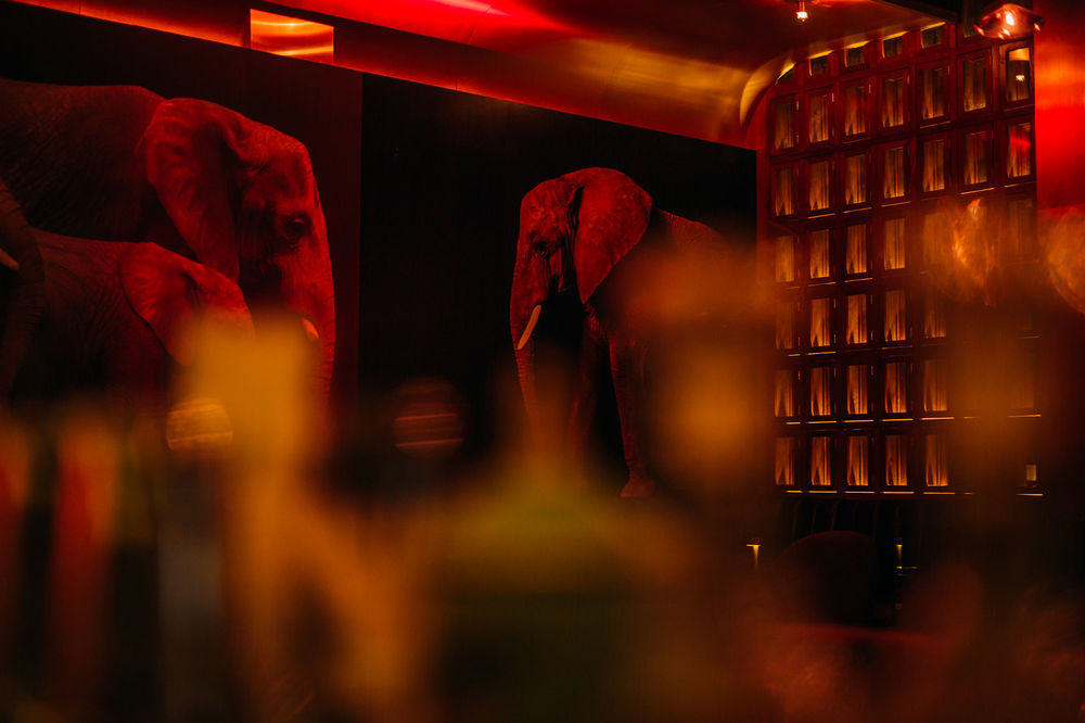 Slogan酒吧，青岛 / TAO studio