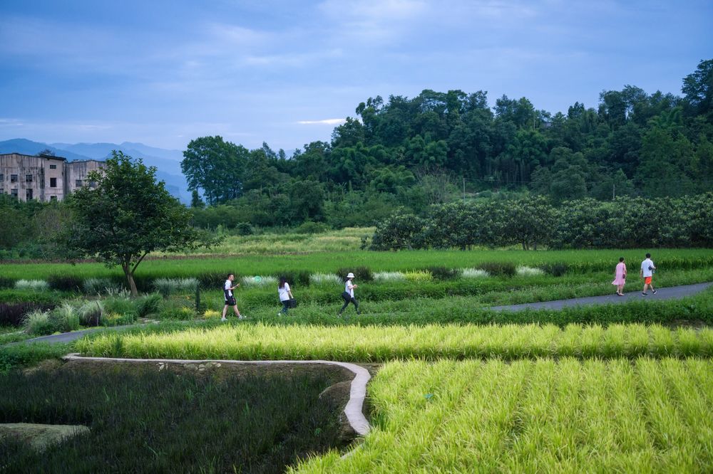 理想乡野：峨眉·高桥小镇 / 深度报道