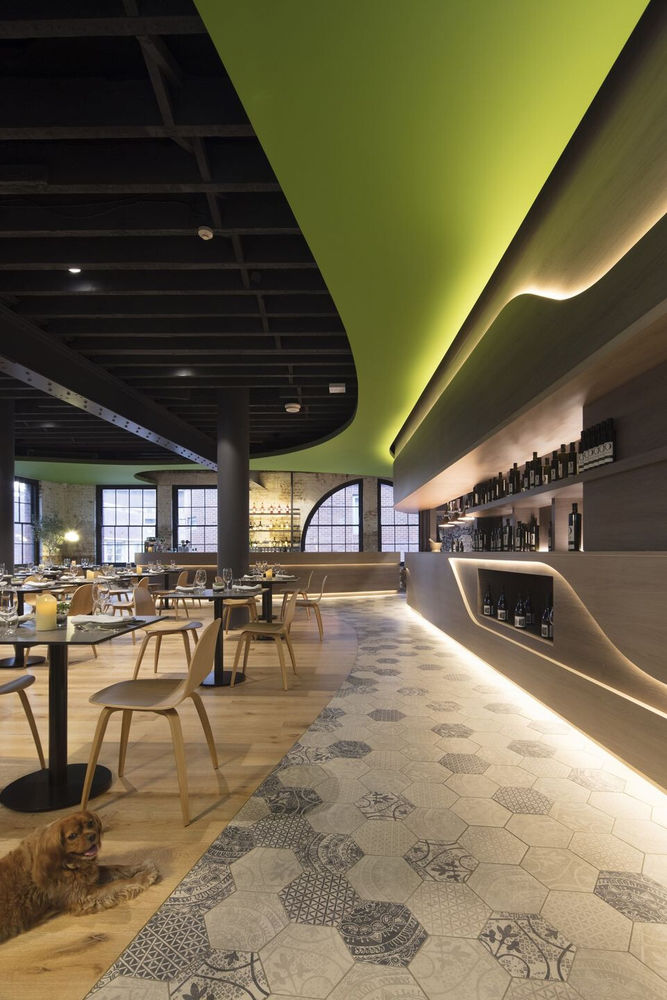 悉尼绿意盎然的新餐厅 | Olio Kensington Street