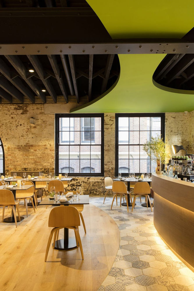 悉尼绿意盎然的新餐厅 | Olio Kensington Street