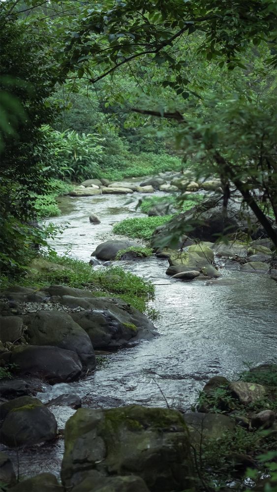 理想乡野：峨眉·高桥小镇 / 深度报道