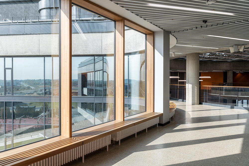 Anastasiya Gushchina丨小学丨Wunderpark International School I Archstruktura