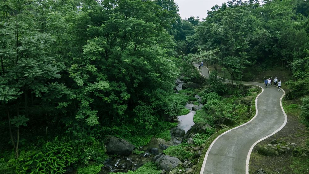 理想乡野：峨眉·高桥小镇 / 深度报道